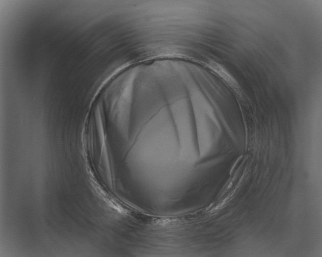 X0000073860806200608241107