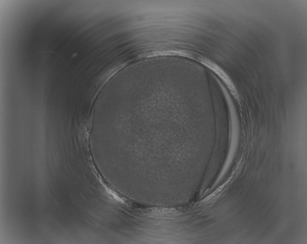 X0000073860809200608241107