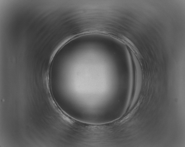 X0000073860812200608241107