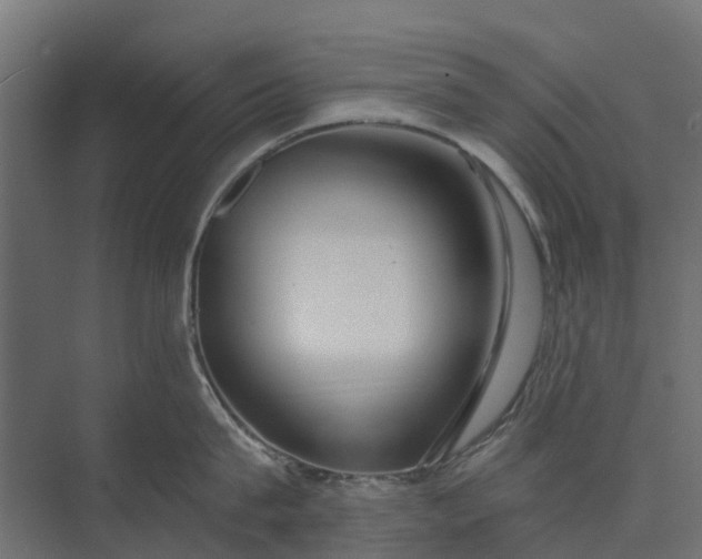 X0000073860815200608241107