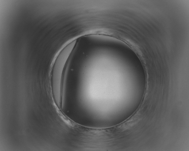 X0000073860816200608241107