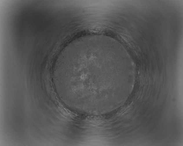 X0000073860817200608241106