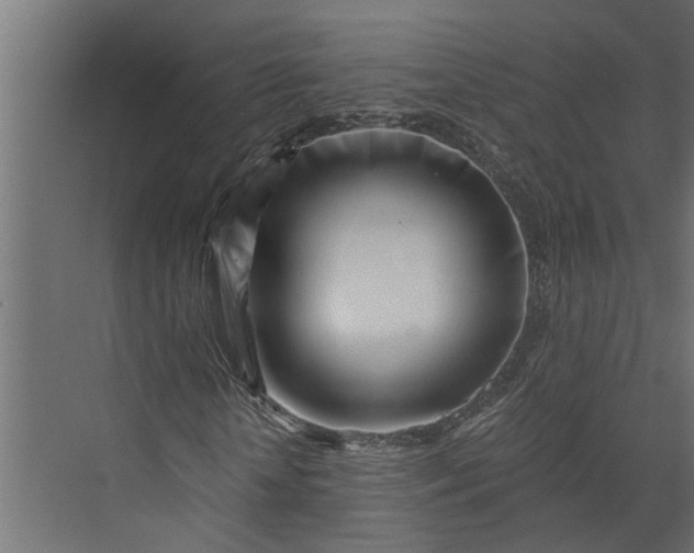 X0000073860818200608241106