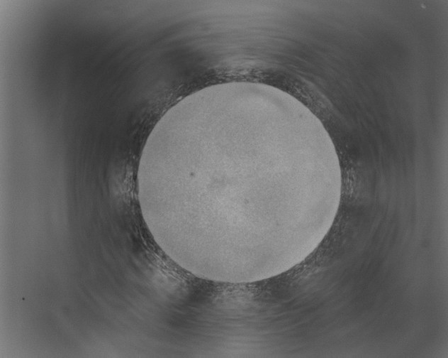 X0000073860820200608241106