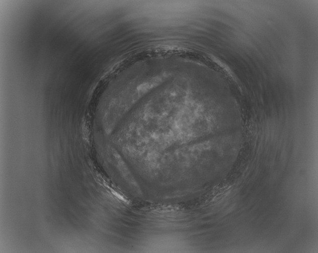 X0000073860823200608241106