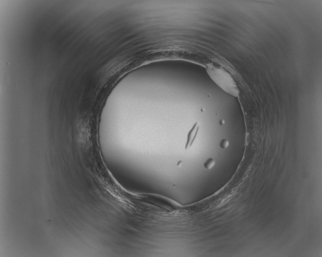 X0000073860826200608241106