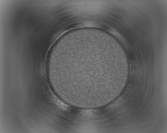 X0000073860828200608241106