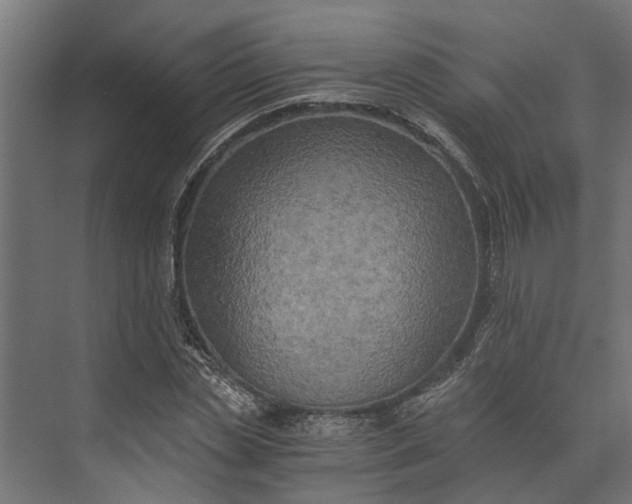 X0000073860829200608241106