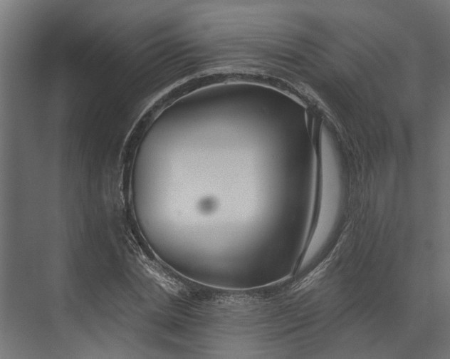 X0000073860830200608241106