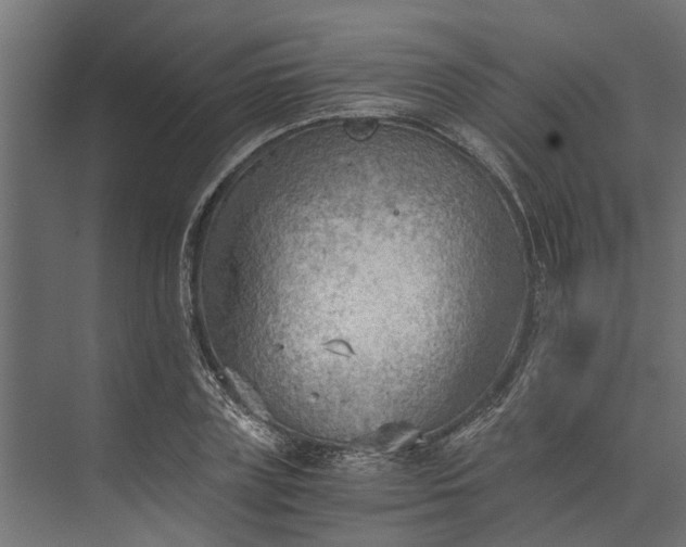 X0000073860835200608241106