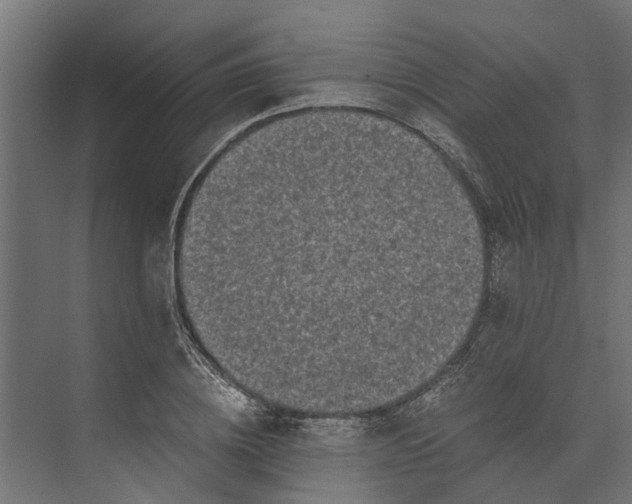 X0000073860836200608241106