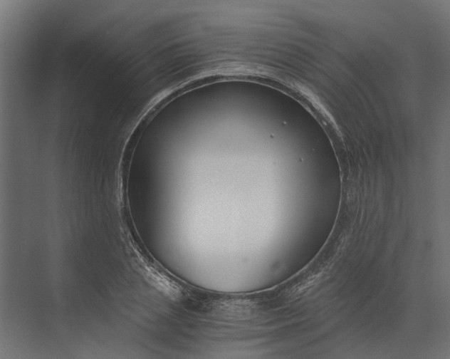 X0000073860837200608241106