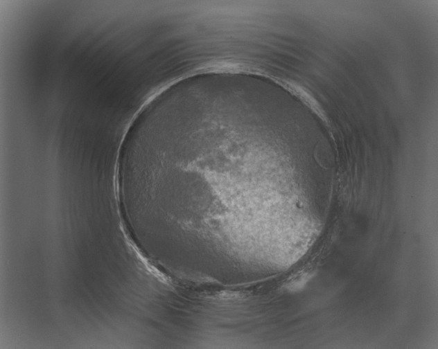 X0000073860839200608241106