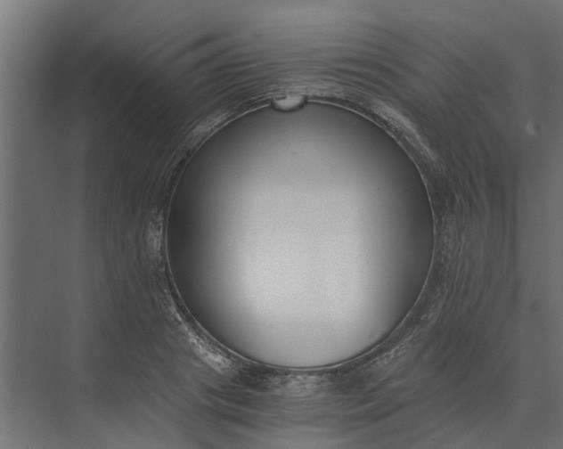 X0000073860841200608241106