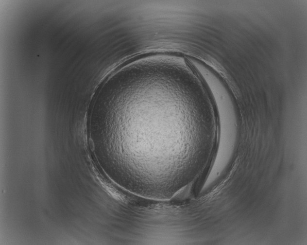 X0000073860842200608241106