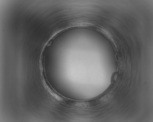 X0000073860843200608241106