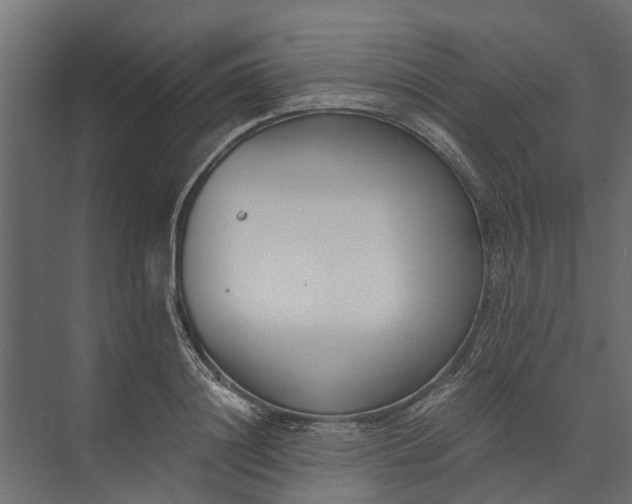 X0000073860844200608241106