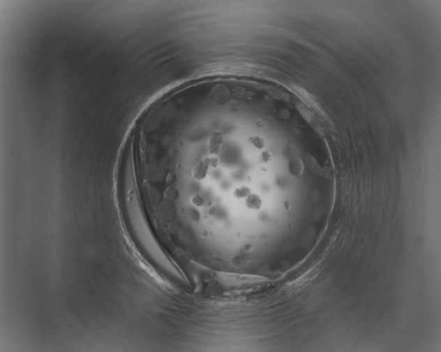 X0000073860846200608241106