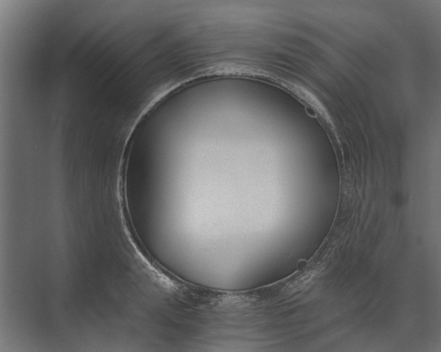 X0000073860847200608241106