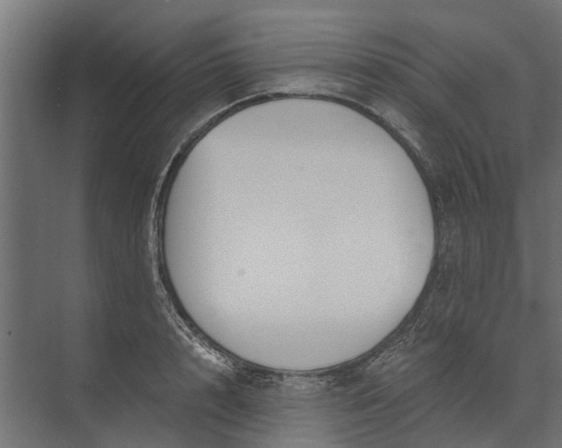 X0000073860848200608241106