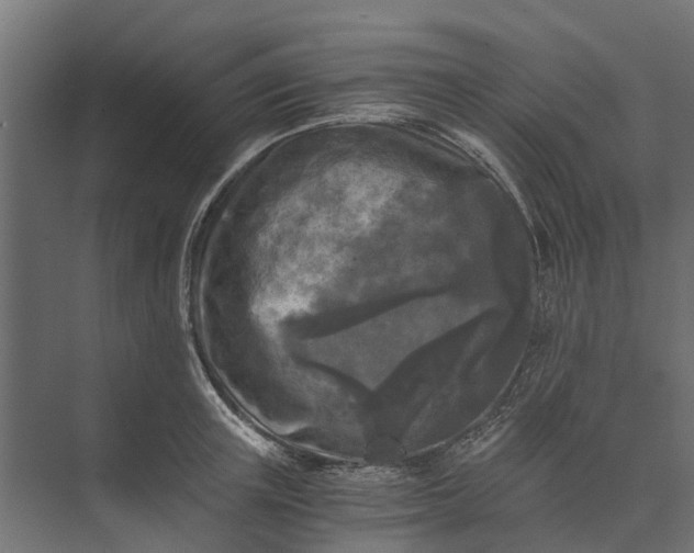 X0000073860851200608241106