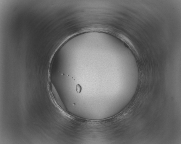 X0000073860852200608241106