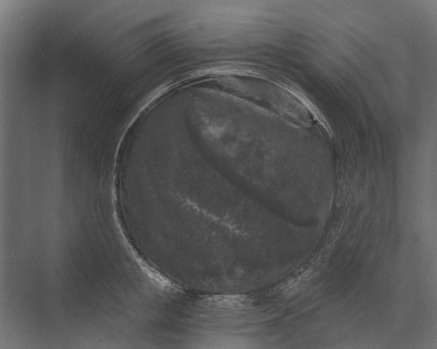 X0000073860853200608241107