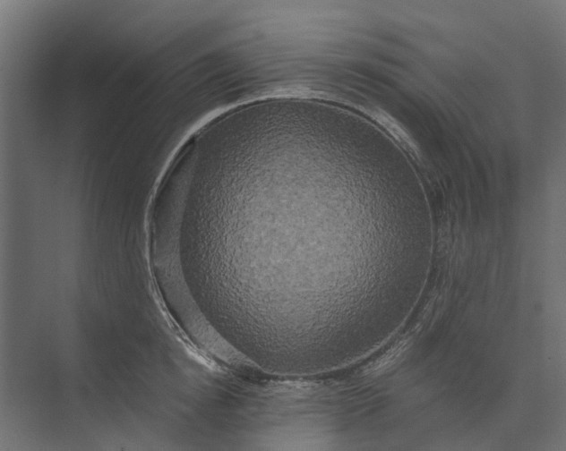 X0000073860854200608241107