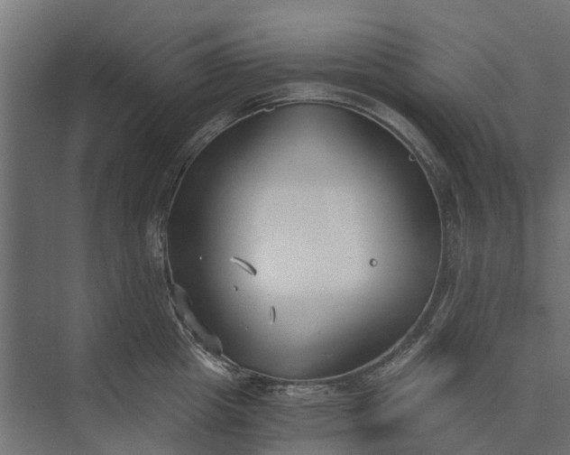 X0000073860857200608241107