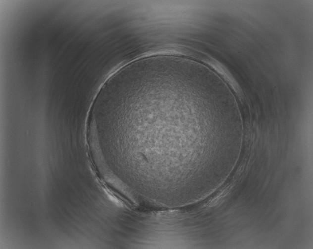 X0000073860858200608241107