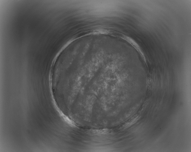 X0000073860859200608241107