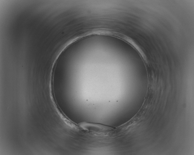 X0000073860861200608241107