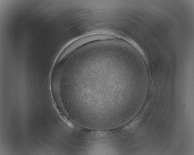 X0000073860862200608241107