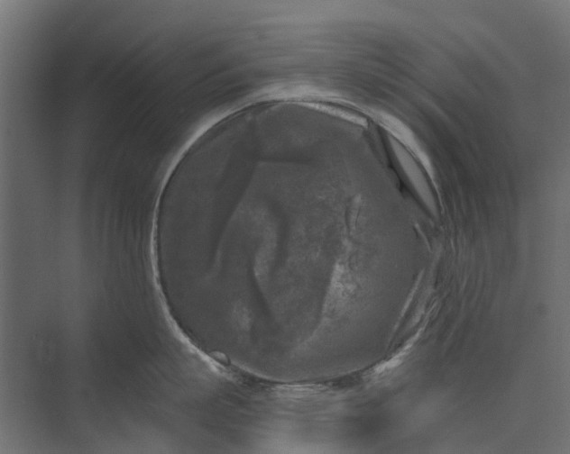 X0000073860863200608241107