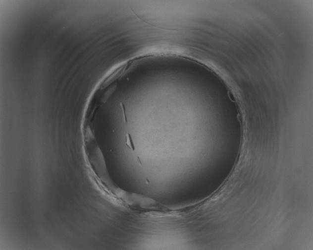 X0000073860864200608241107