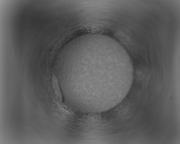 X0000073860865200608241106