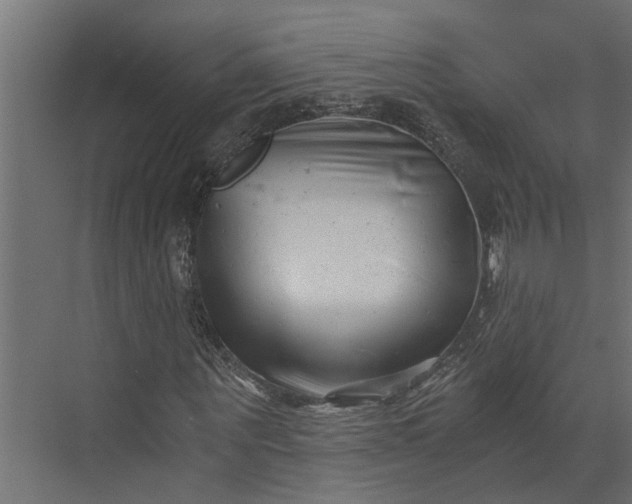 X0000073860867200608241106