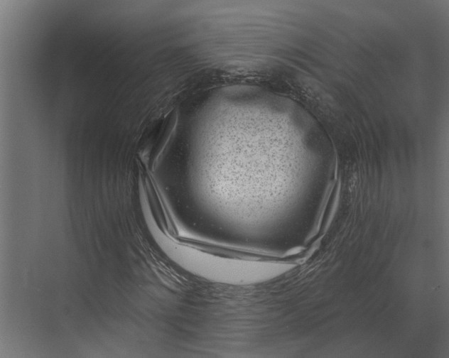 X0000073860868200608241106