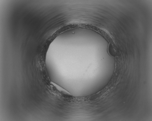 X0000073860871200608241106