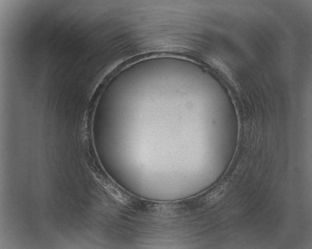 X0000073860875200608241106