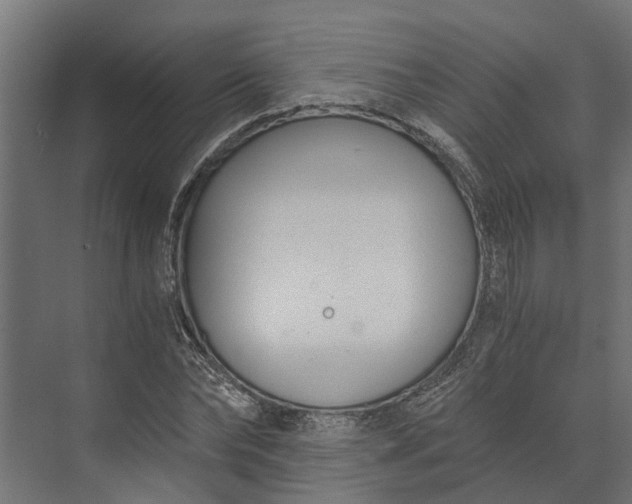 X0000073860878200608241106