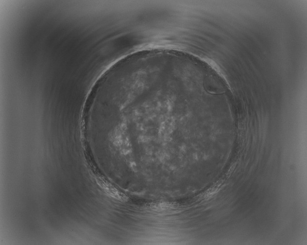 X0000073860879200608241106