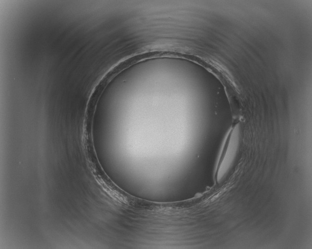 X0000073860880200608241106