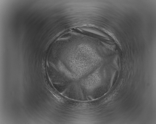 X0000073860881200608241106