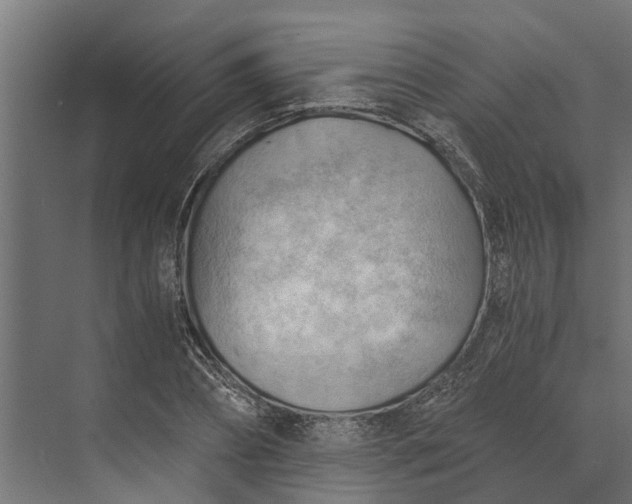 X0000073860882200608241106