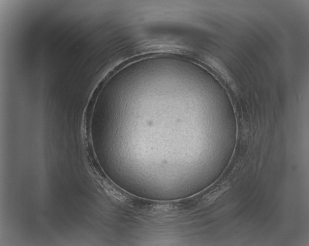 X0000073860883200608241106