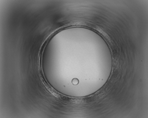 X0000073860886200608241106