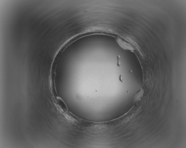 X0000073860888200608241106