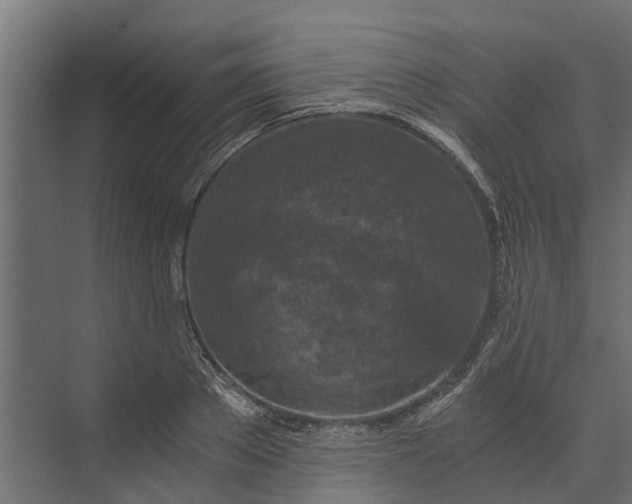 X0000073860889200608241105