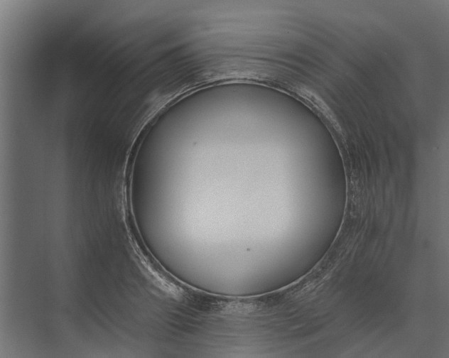 X0000073860890200608241105